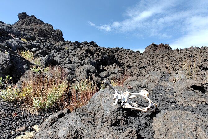 Trekking to Bottoniera Craters - Mount Etna Geology Explained in a Way That Actually Sticks