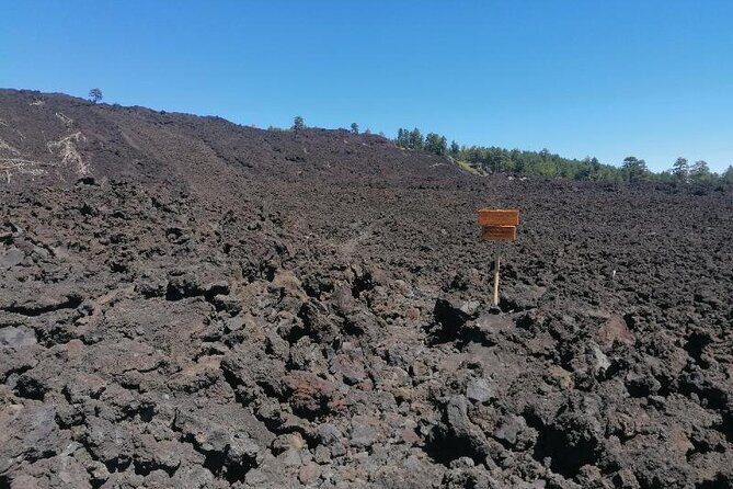 Trekking to Bottoniera Craters - Getting Real Value from $229.28 per Person