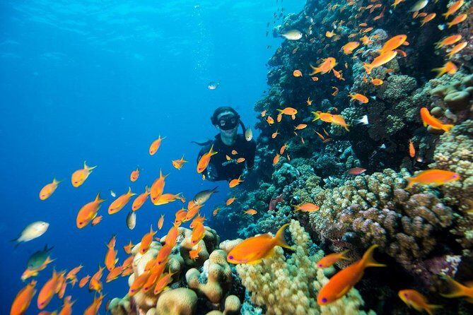 Try Scuba Dive (baptism of the sea) - After you surface: showers, debrief, and a relaxed reset