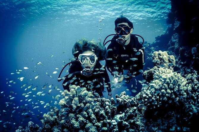 Try Scuba Dive (baptism of the sea) - Price and value: what $104.11 gets you (and why it can be fair)