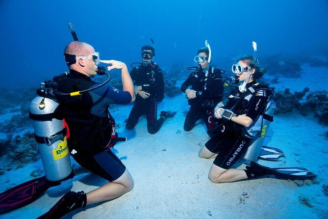 Try Scuba Dive (baptism of the sea) - SSI Diamond Center comfort: gear, warmth, and a proper welcome