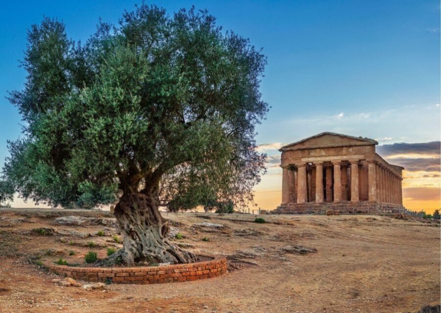 Valley of the Temples and Villa Romana Multi-Language Tour - Timing, Shoes, and the Reality of an 11-Hour Circuit