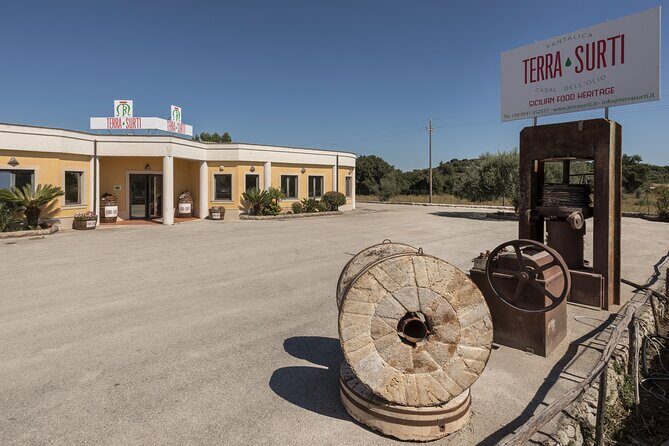 Visit to the olive grove, oil tasting and lunch at the farm - Should you book Terra Surti’s olive oil tour?