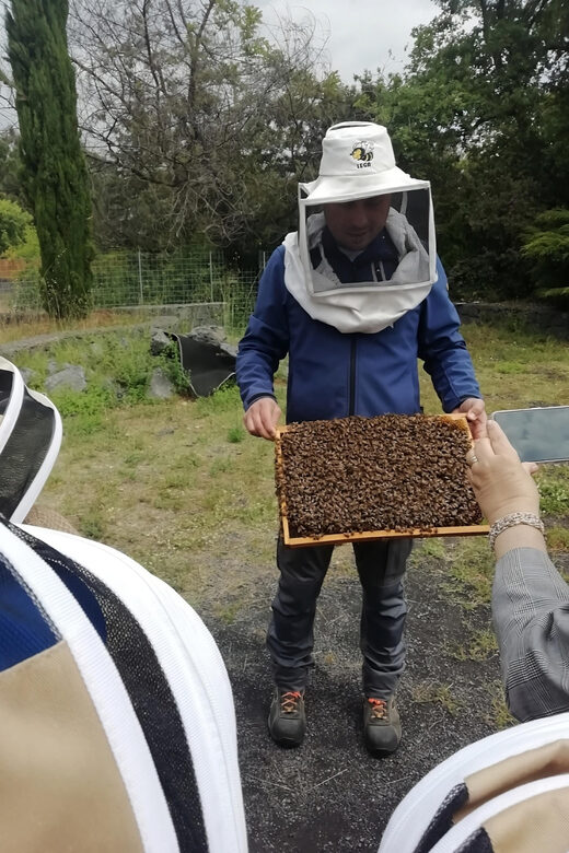 Zafferana Etnea:Honey extraction workshop and honey tasting - The Snacks Built Around On-Site Honey: A Tasty Shortcut to Understanding