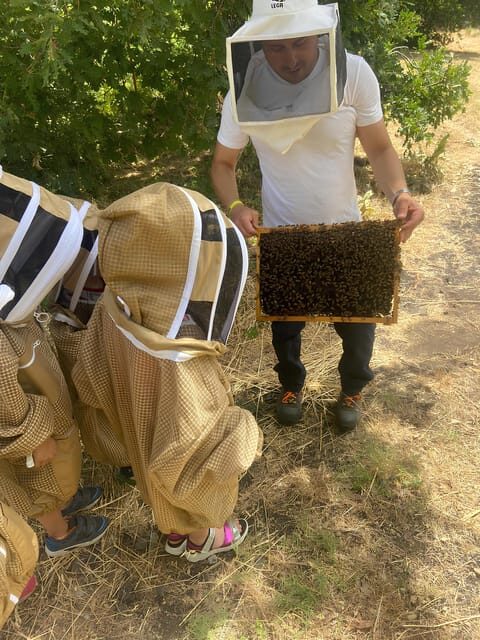 Zafferana Etnea:Honey extraction workshop and honey tasting - Who This Tour Suits Best (And Who Might Skip It)