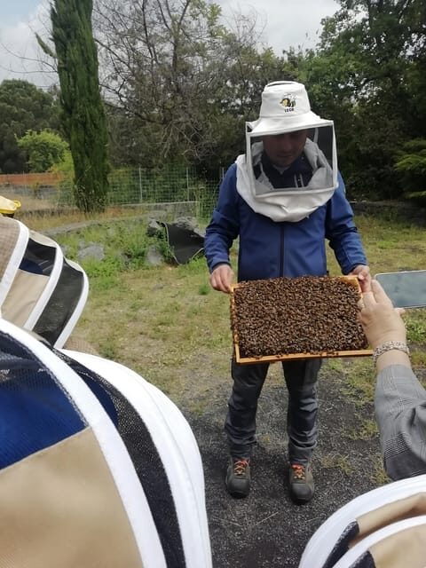 Zafferana Etnea:Honey extraction workshop and honey tasting - Practical Tips So You Enjoy the Hive Viewing More